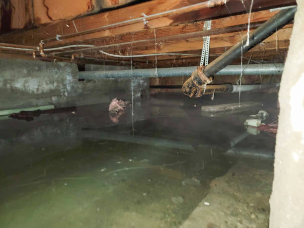 Best Emergency water damage restoration  in Moosup, CT