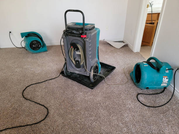 Best Ceiling water damage repair  in Moosup, CT
