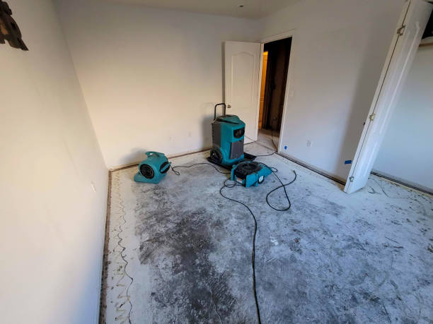 Best Water damage restoration insurance claims  in Moosup, CT