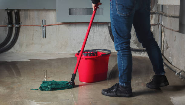 Best Commercial water damage restoration  in Moosup, CT