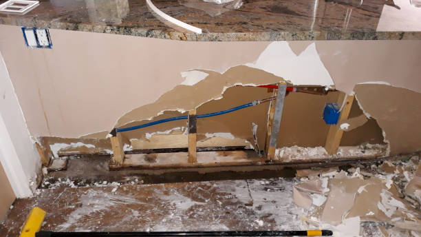 Best Basement water damage restoration  in Moosup, CT