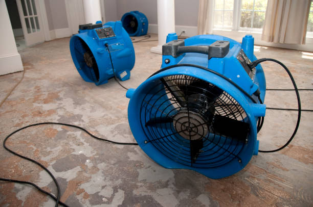 Best Fire Damage Restoration  in Moosup, CT