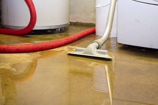 Best Flood restoration services  in Moosup, CT