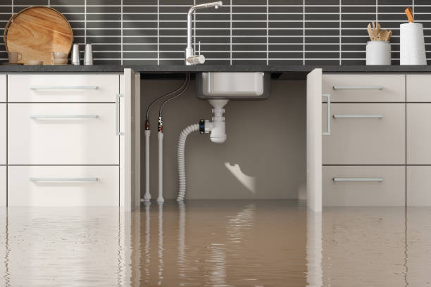 Best Ceiling water damage repair  in Moosup, CT