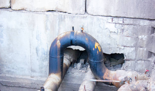 Best Water damage cleanup near me  in Moosup, CT